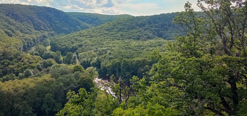 Řeka Dyje kousek od Šobesu