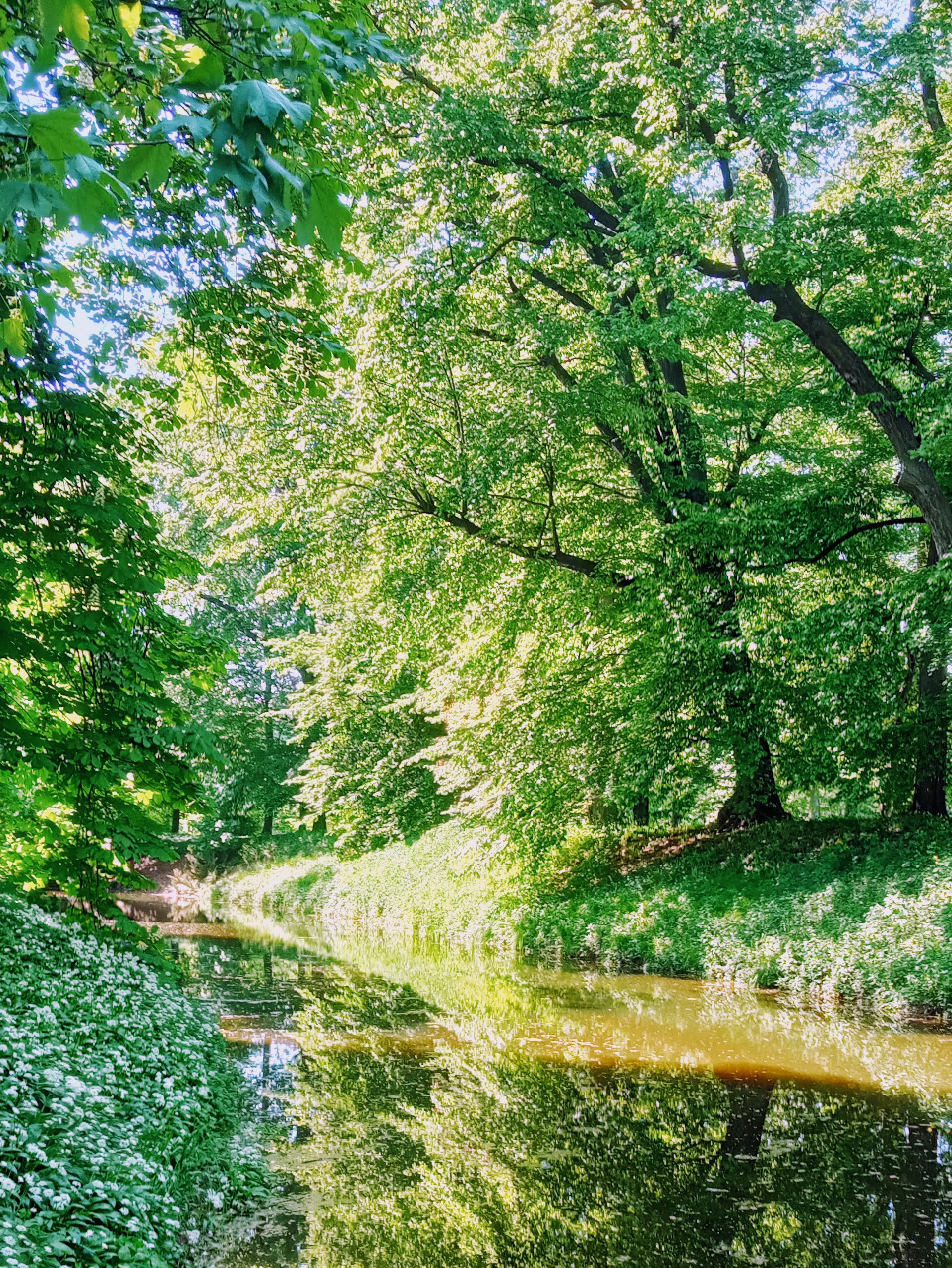 Stromy - už nevím kde…