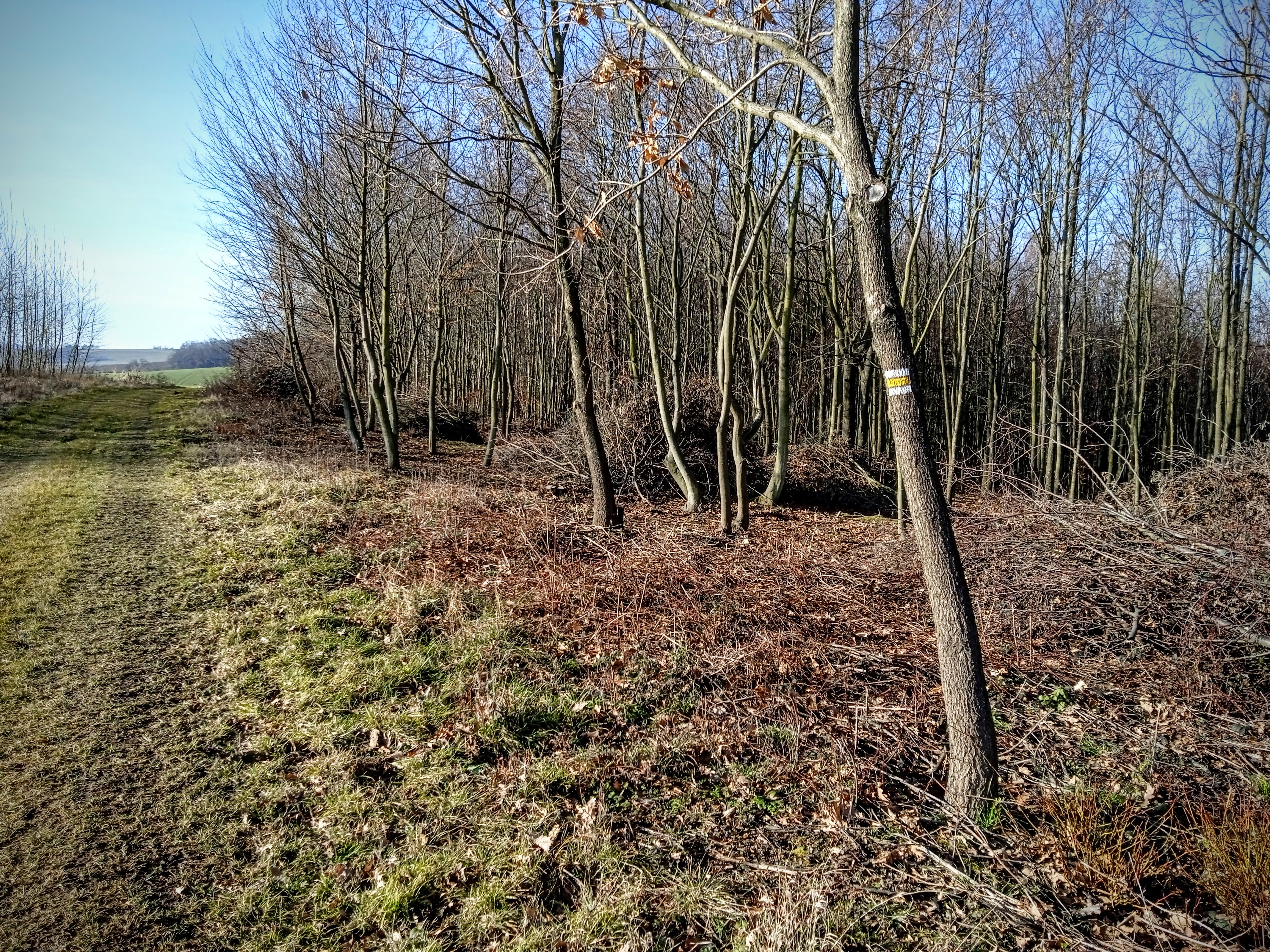Cesta na Větřák